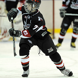 Photo by Aaron Bell/OHL Images Tierney_YSE.jpg